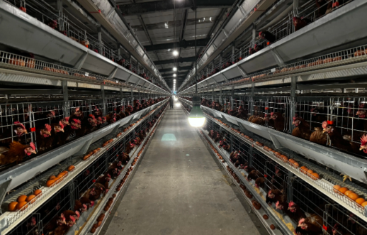 微信圖片_20250930105737_490_32