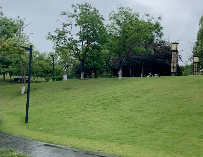 公園弱電智能化：開啟智慧公園新時代